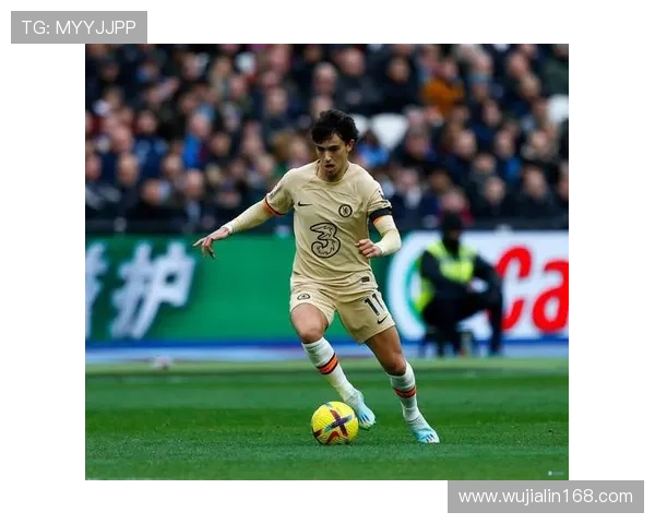 菲利克斯战术适配性持续提升，近期表现稳健