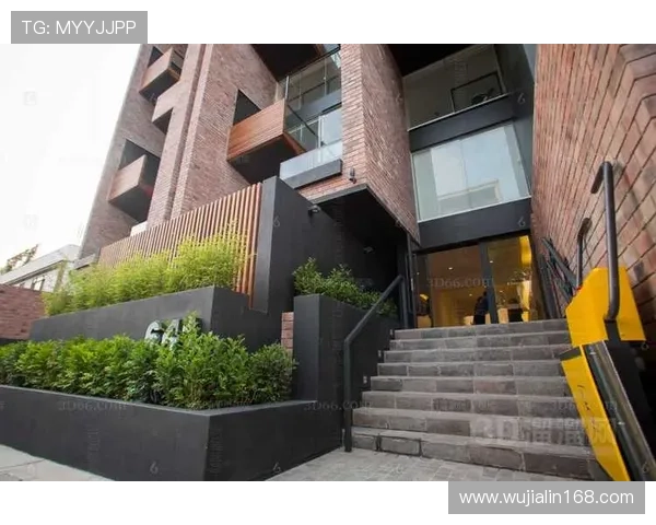 梅里诺风格分析