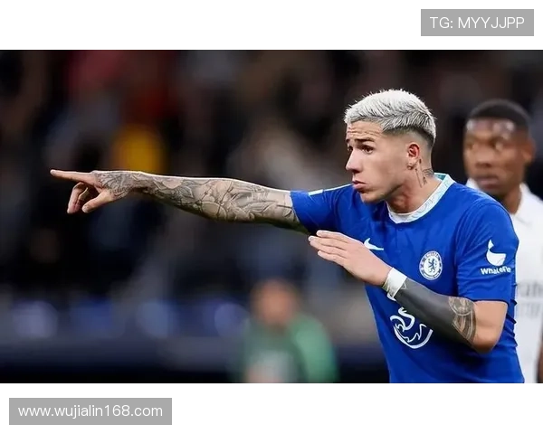 恩佐·费尔南德斯家的冰箱里只放蛋白粉和冰块